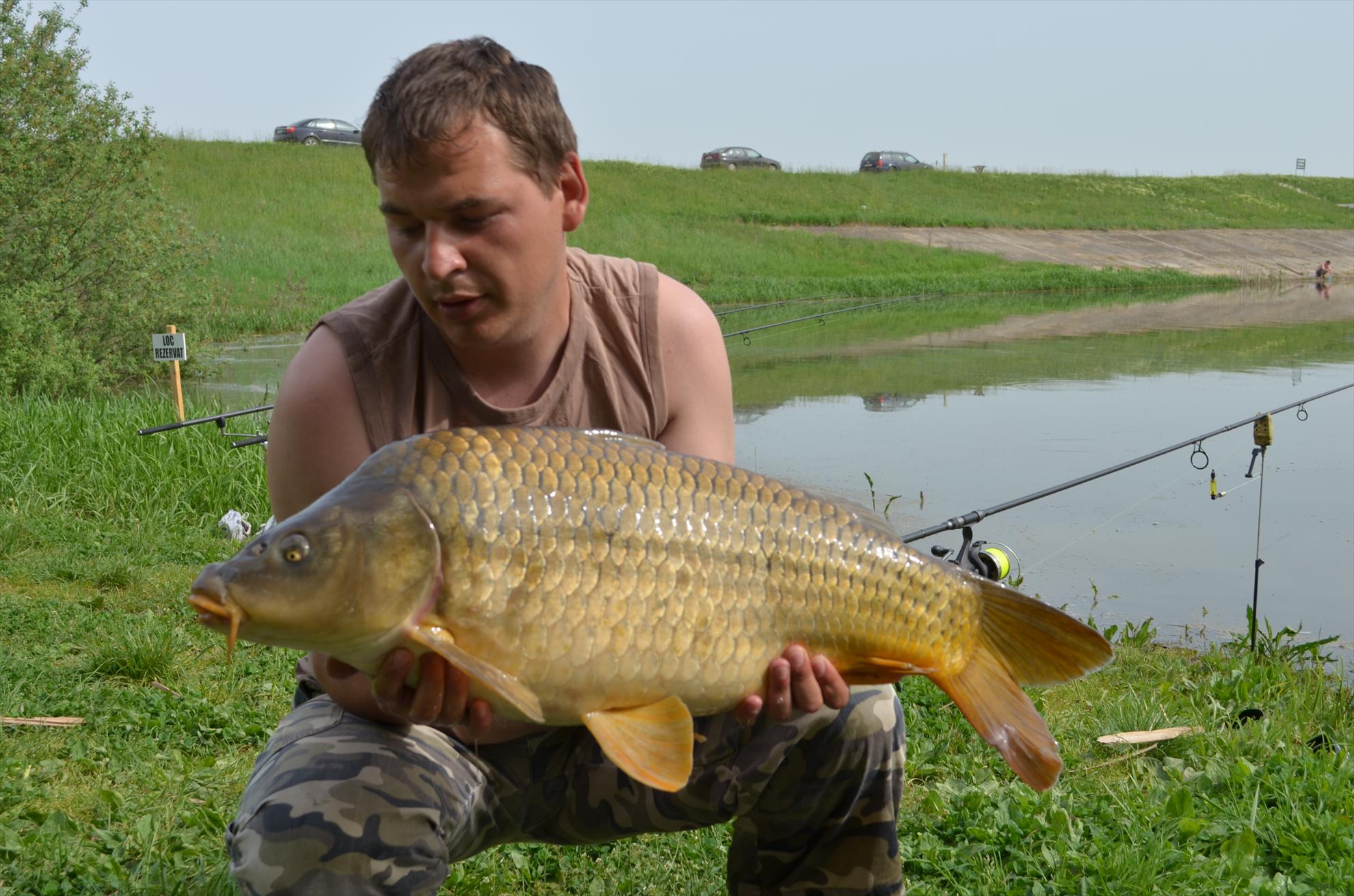 sisterea - dsc0566.JPG